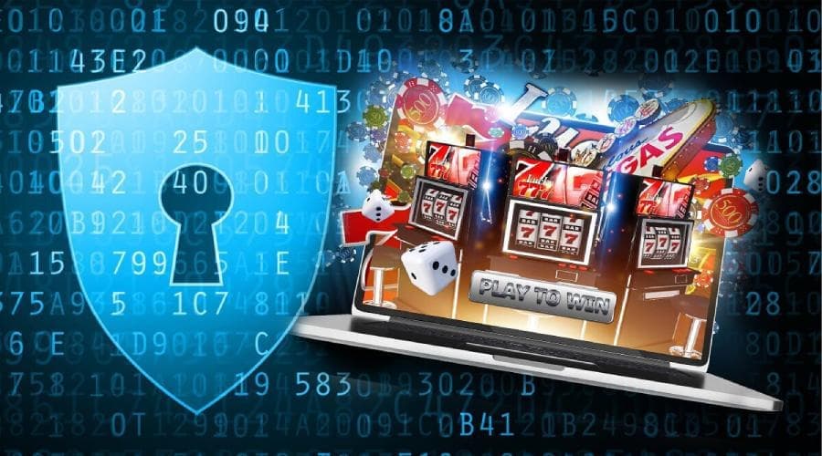 privacy policy data sg777