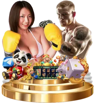 sg777 boxing